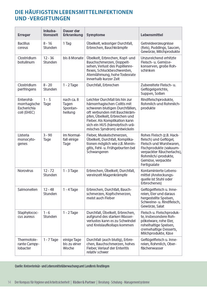 Lebensmittelhygiene 3